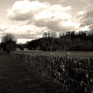 Prairies et clôture en plaques de béton en noir et blanc avec fort contraste - Belgique  - collection de photos clin d'oeil, catégorie paysages